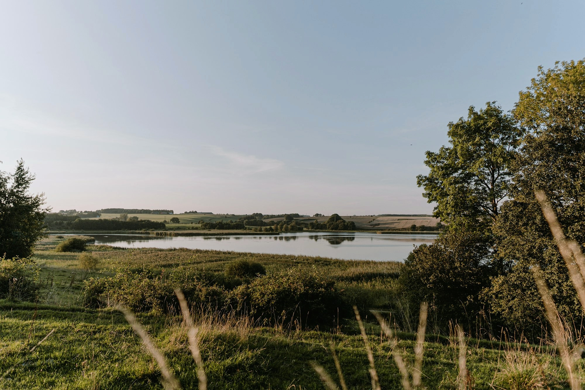 Sø med siv og marker i landskabet ved Horsens
