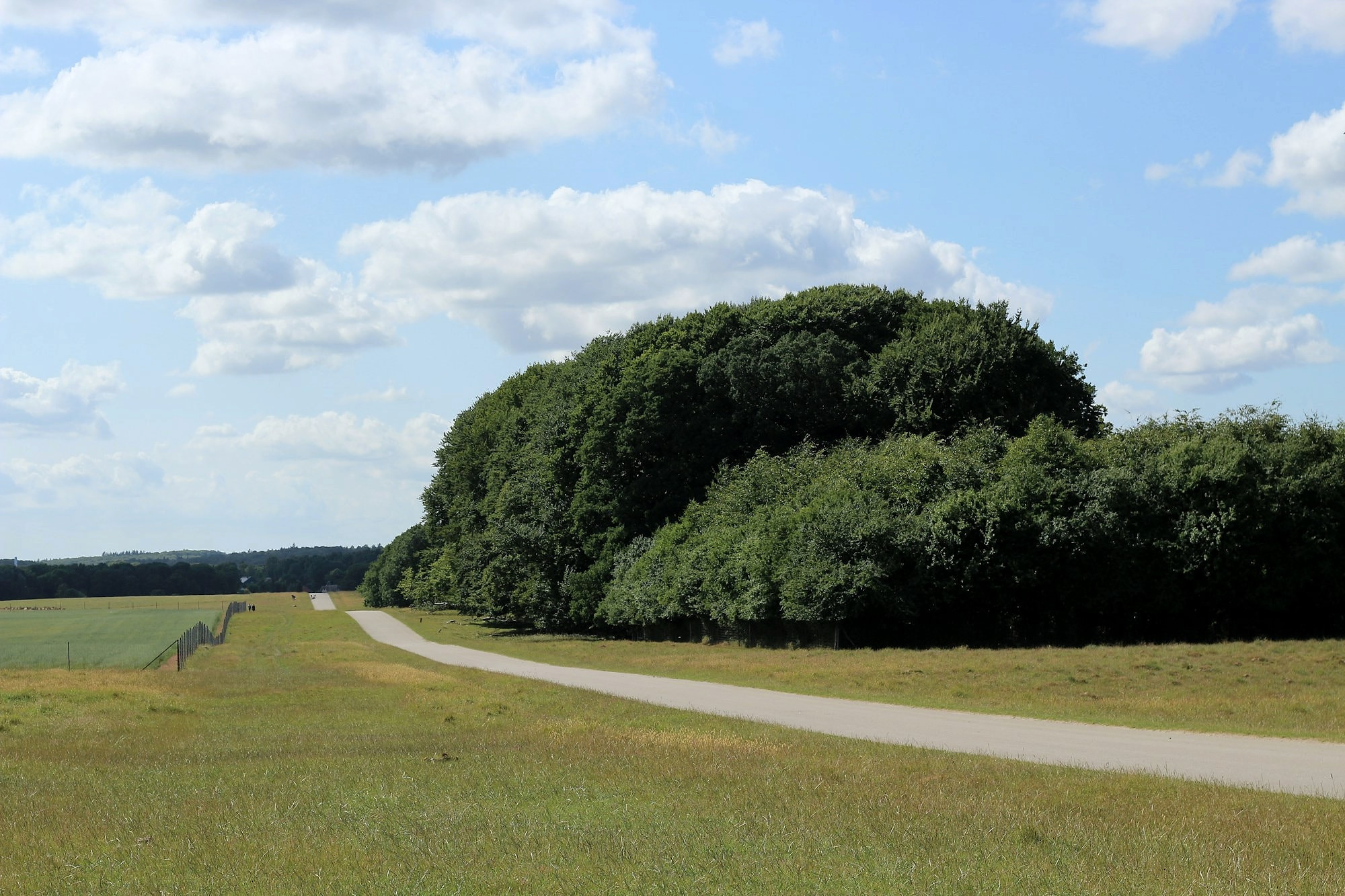 Vej gennem Dyrehaven i Skanderborg